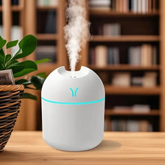 Portable Humidifier